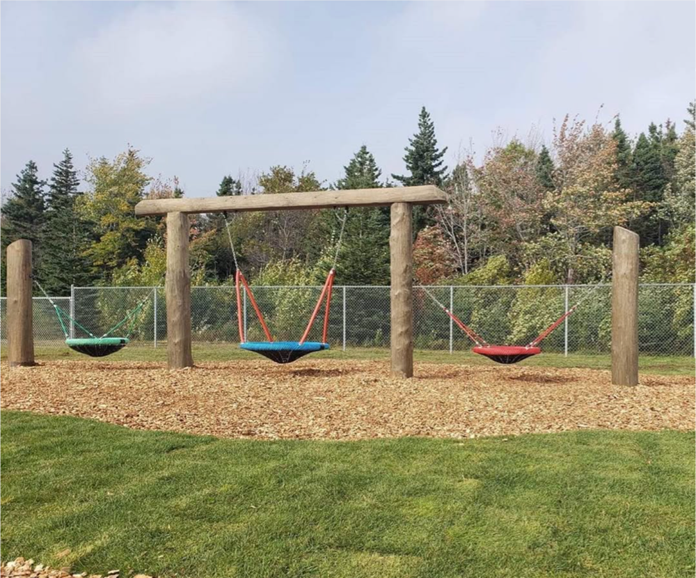 NEW - Birds Nest Swing