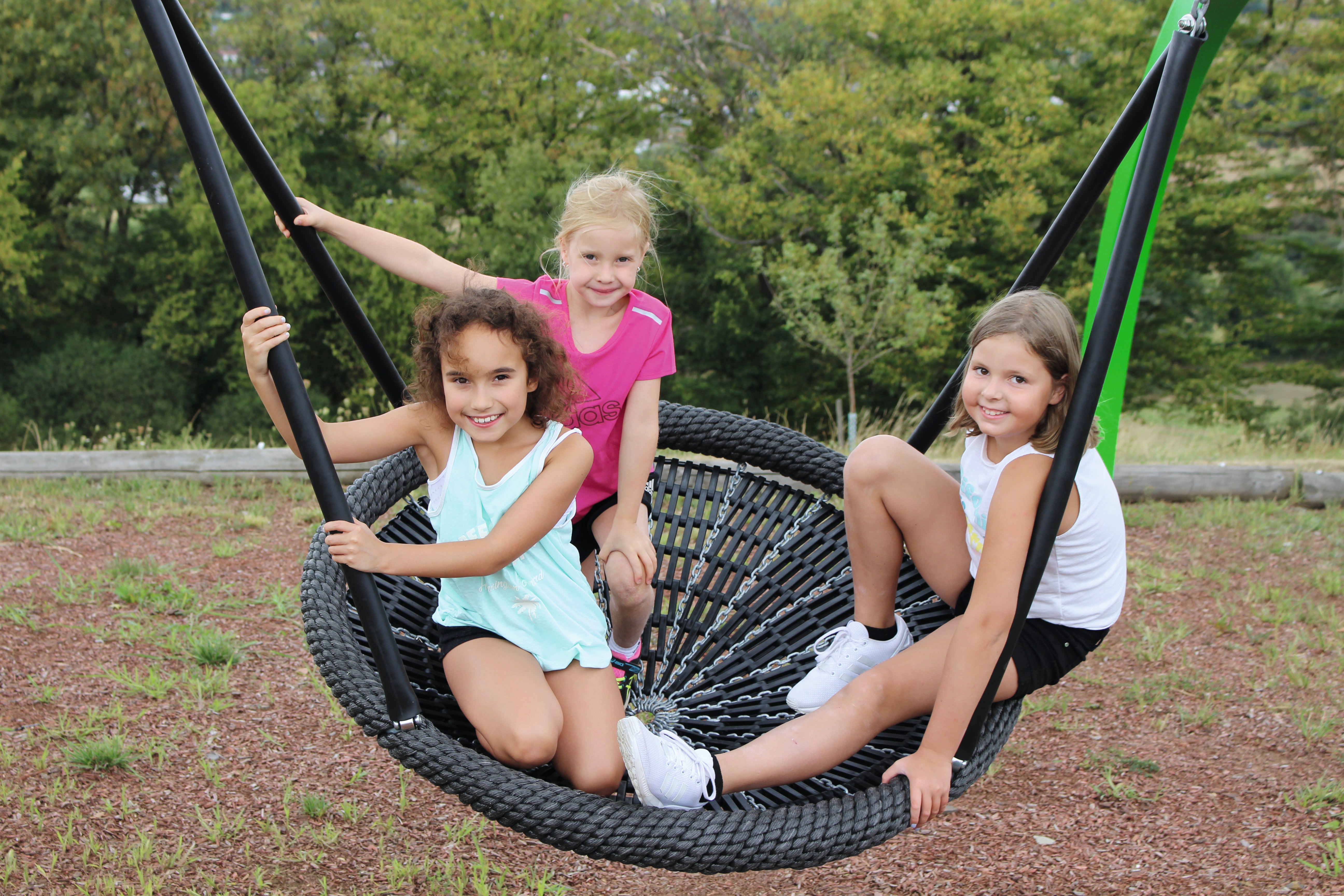 NEW - Birds Nest Swing