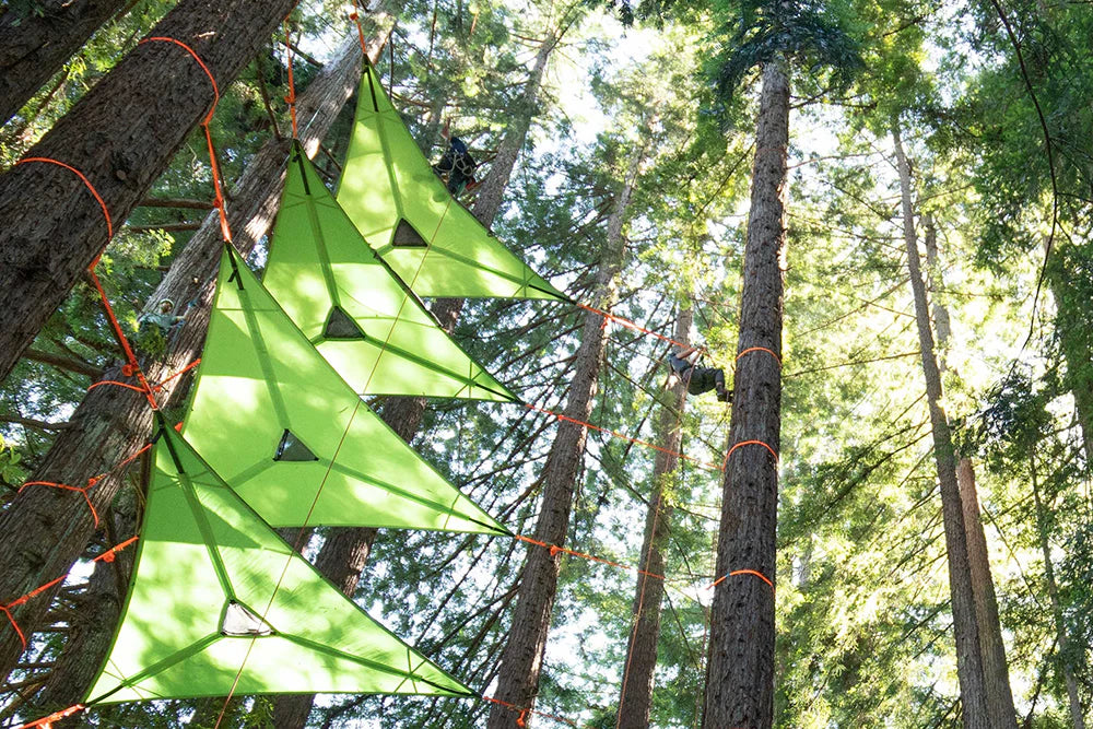 TENTSILE Trillium Giant 3-Person Camping Hammock