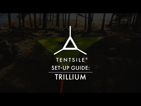 TENTSILE Trillium Giant 3-Person Camping Hammock