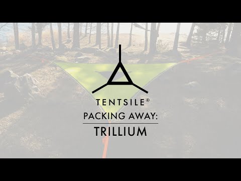 TENTSILE Trillium Giant 3-Person Camping Hammock